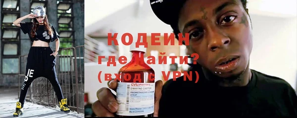 шишки Гусиноозёрск