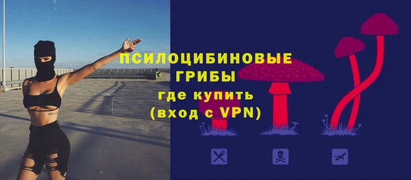 Альфа ПВП Дмитров