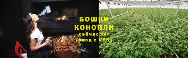 Альфа ПВП Дмитров