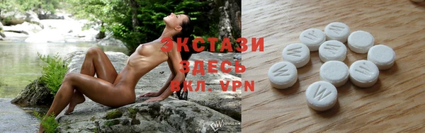 шишки Гусиноозёрск