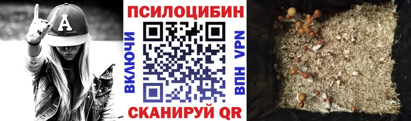 Галлюциногенные грибы GOLDEN TEACHER Великий Устюг