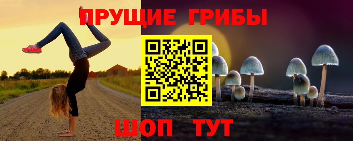 Галлюциногенные грибы ЛСД Великий Устюг