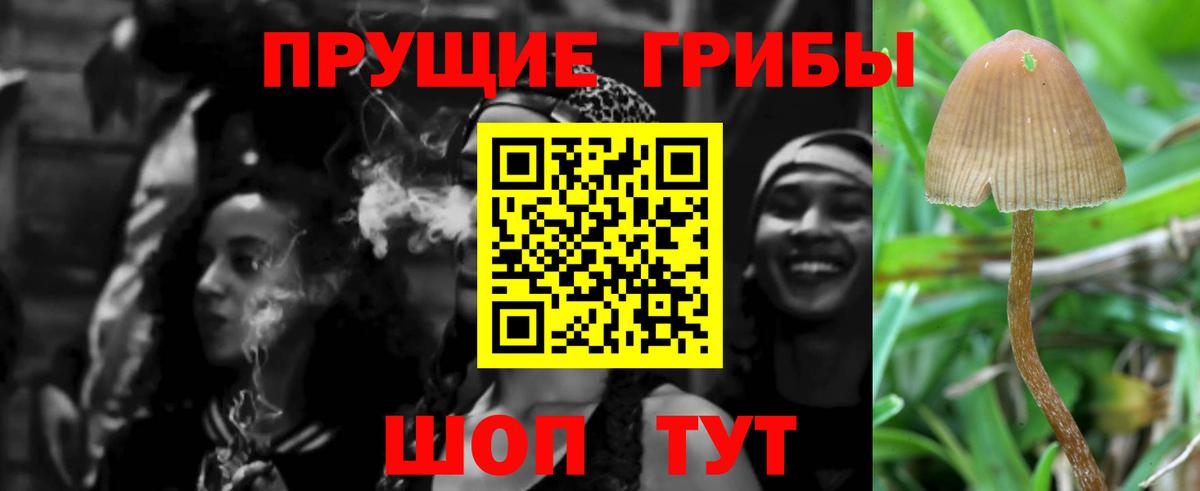 Великий Устюг  Галлюциногенные грибы Cubensis  Вход с VPN  наркошоп  Галлюциногенные грибы прущие грибы 