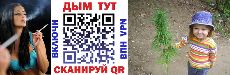 МАРИХУАНА Amnesia  купить закладку  Великий Устюг 