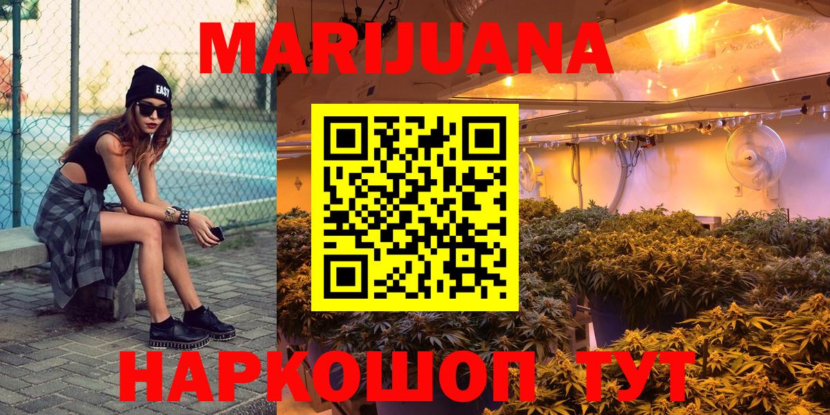 Каннабис план Великий Устюг